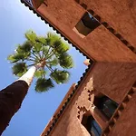 Riad Zahir